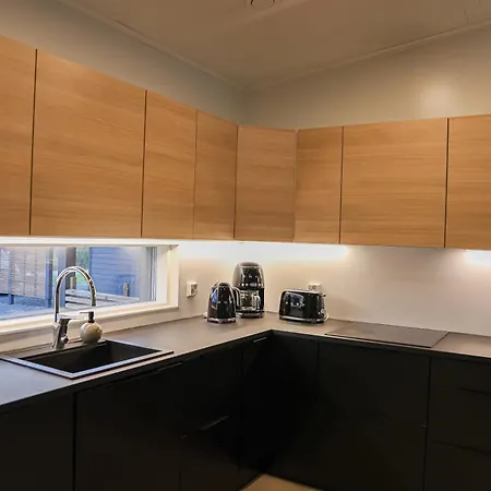 Polar Lights With Jacuzzi By Booklapland Rovaniemi