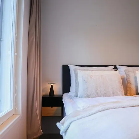 Polar Lights With Jacuzzi By Booklapland Rovaniemi