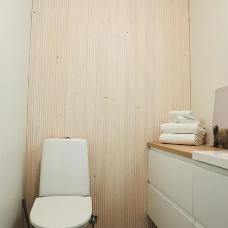 Polar Lights With Jacuzzi By Booklapland Willa Rovaniemi