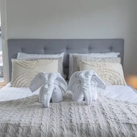 Polar Lights With Jacuzzi By Booklapland Villa *