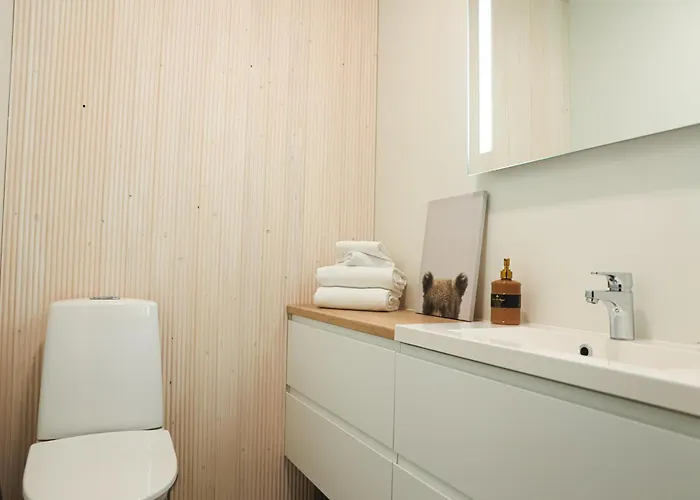 Polar Lights With Jacuzzi By Booklapland *