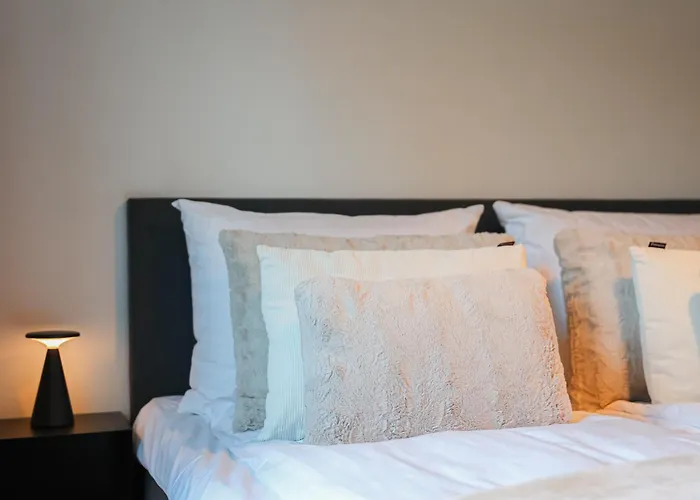 别墅 Polar Lights With Jacuzzi By Booklapland 罗瓦涅米