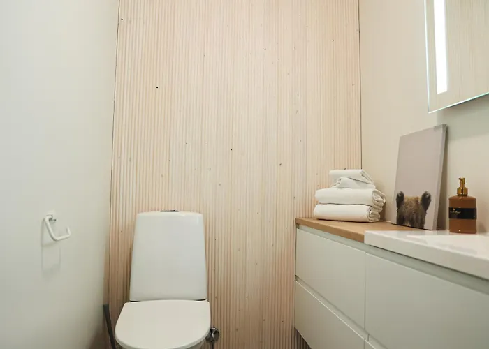 Polar Lights With Jacuzzi By Booklapland 别墅 罗瓦涅米